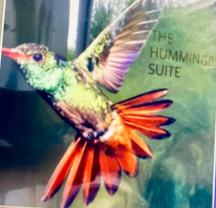 9859 Gandy Ave #A950 - Photo 1 of 1