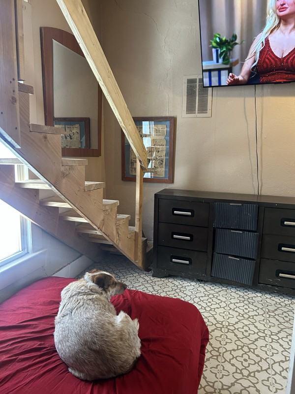 815 E 10th St #1 - Photo 6 of 18