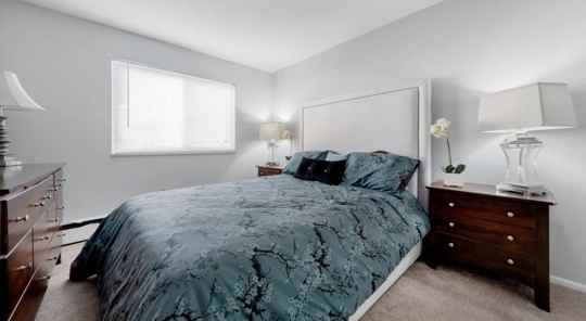 Niederst Management LTD 4 of 4