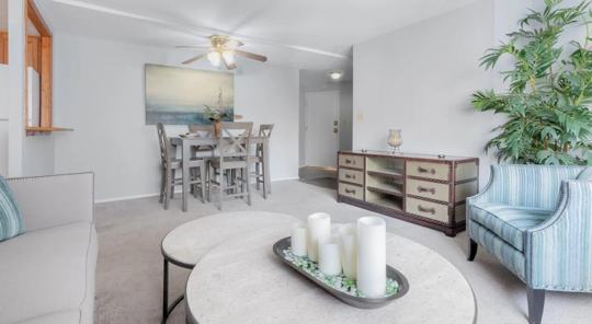 Niederst Management LTD 3 of 4