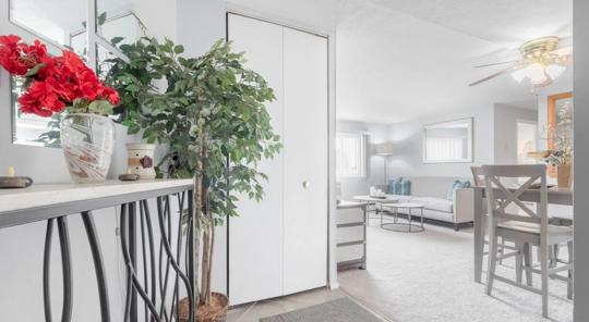 Niederst Management LTD 2 of 4