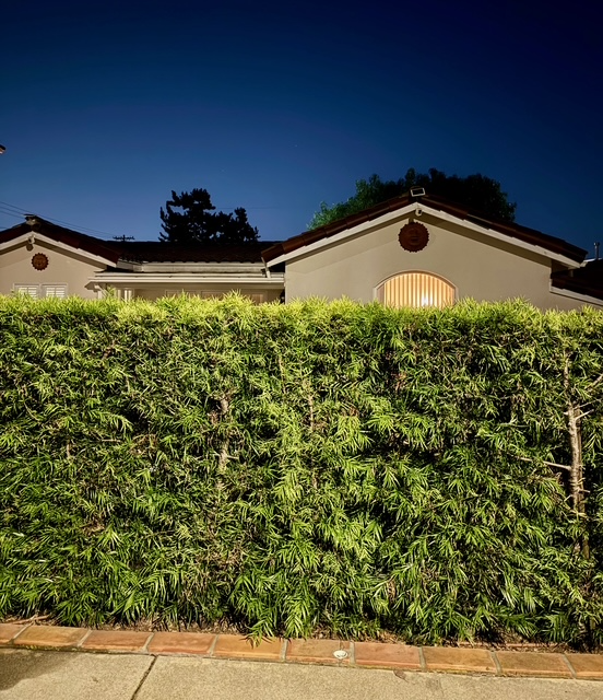 2620 Graham Ave - Photo 3 of 22