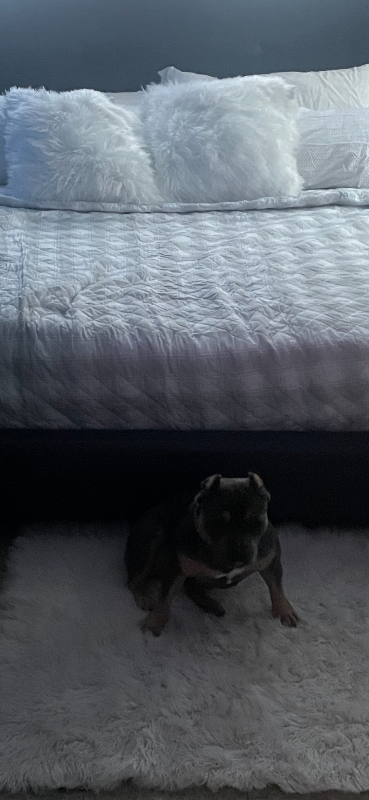 611 Gordon Ave #1 - Photo 2 of 6