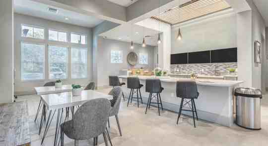 Niederst Management LTD 3 of 4