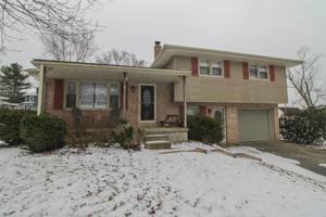 featured image of 213 Blueberry Dr #NA