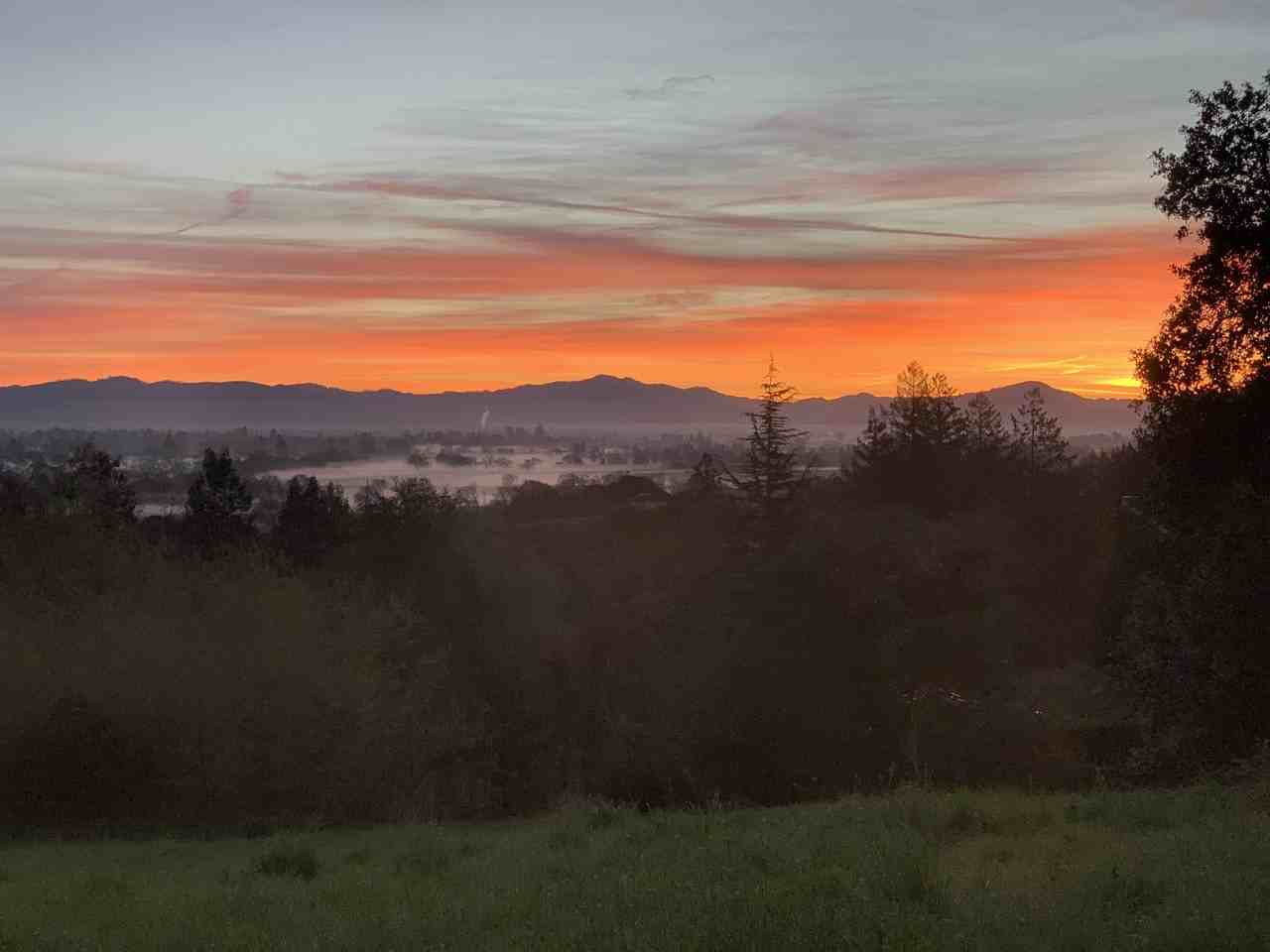 7605 Atkinson Rd #NA - Photo 3 of 17