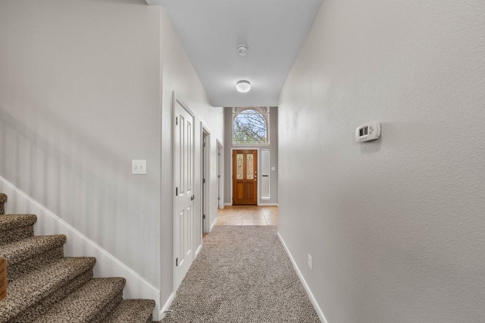 25723 Coleus #1 - Photo 5 of 44