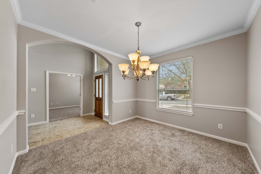 25723 Coleus #1 - Photo 7 of 44