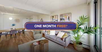 featured image of 218 Maclaren St