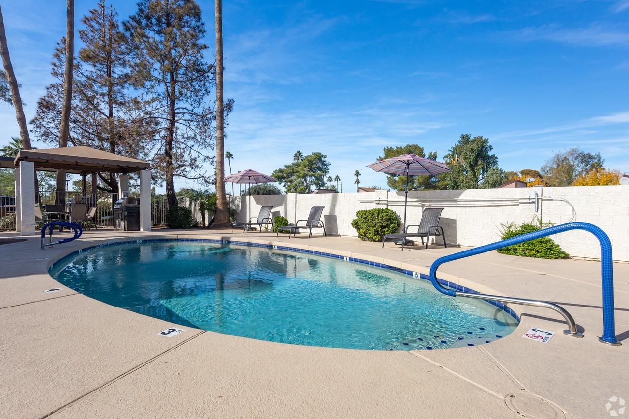 1850 East Hayden Lane #206 - Photo 6 of 13