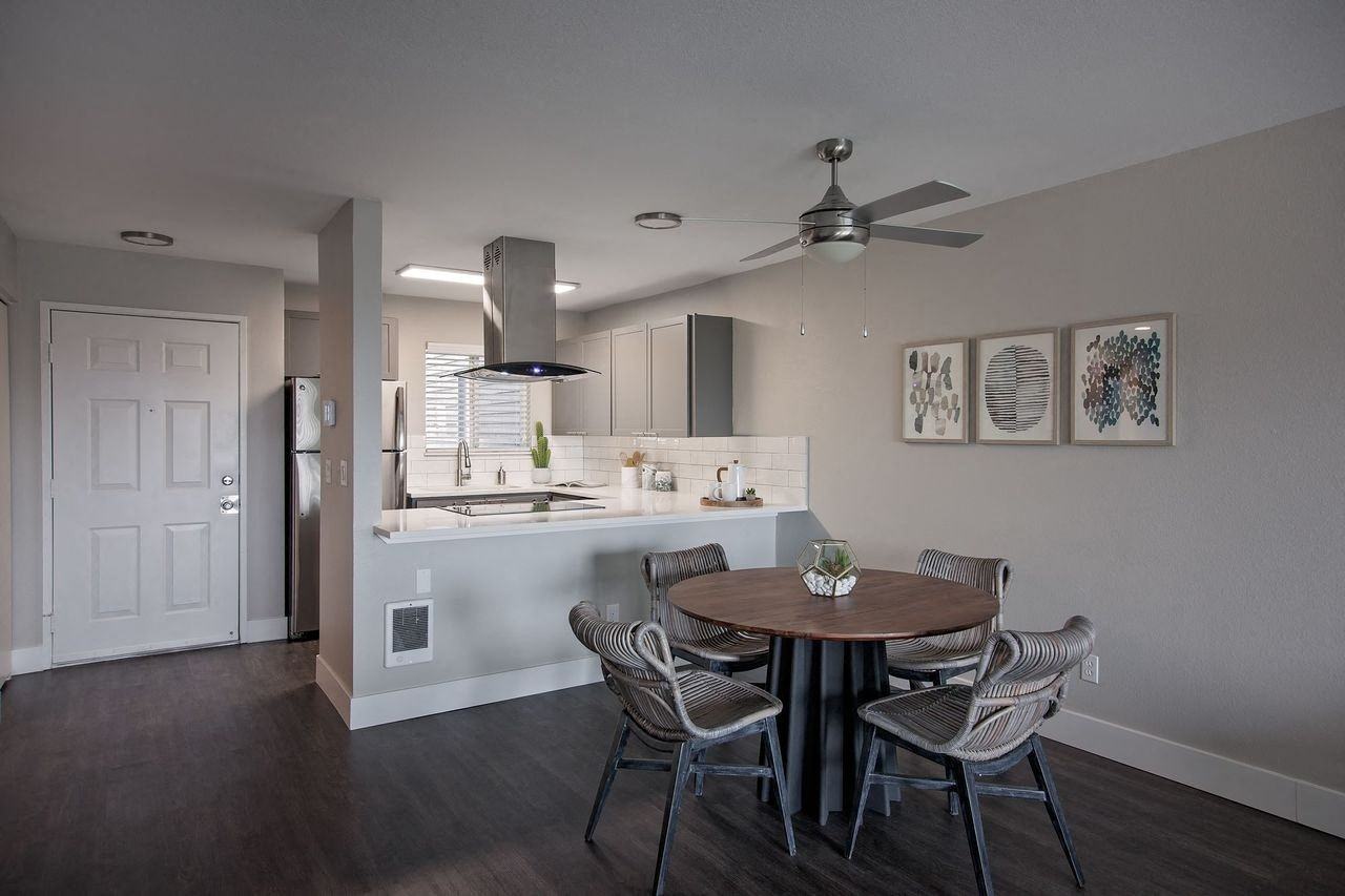 Milo at Mountain Park - Photo 5 of 26