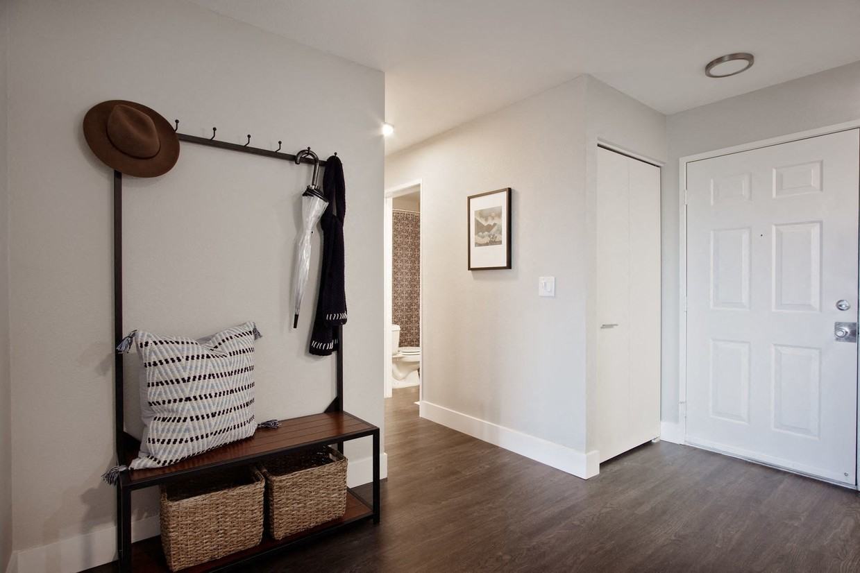 Milo at Mountain Park - Photo 7 of 26