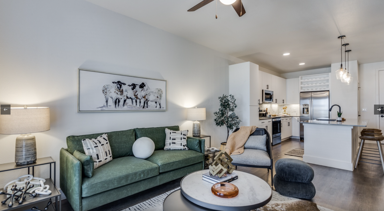 TX-360 & Double Oak Ave #3208 - Photo 4 of 27