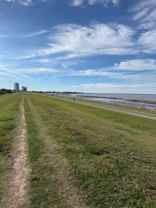 1516 Aztec Ave ##204 - Photo 1 of 1