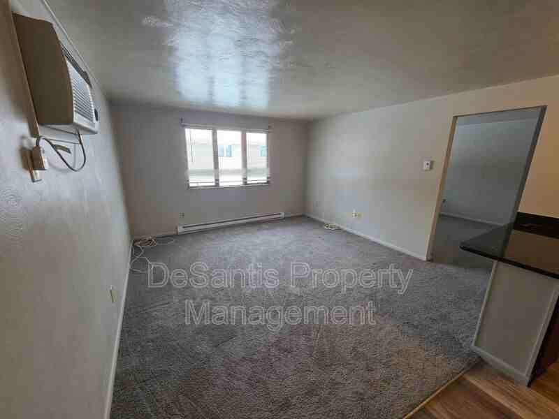 404 Lunar Ln - Photo 5 of 19