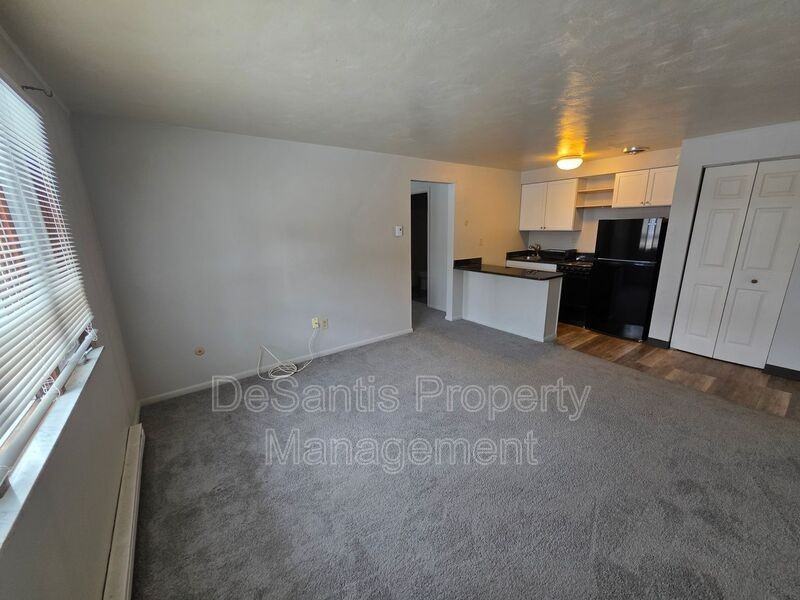 404 Lunar Ln - Photo 7 of 19