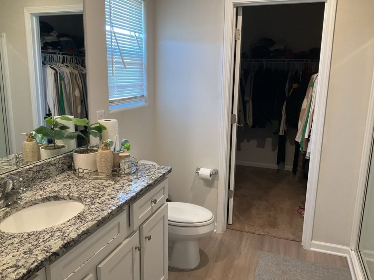 511 Morning Mist Rd - Photo 7 of 13