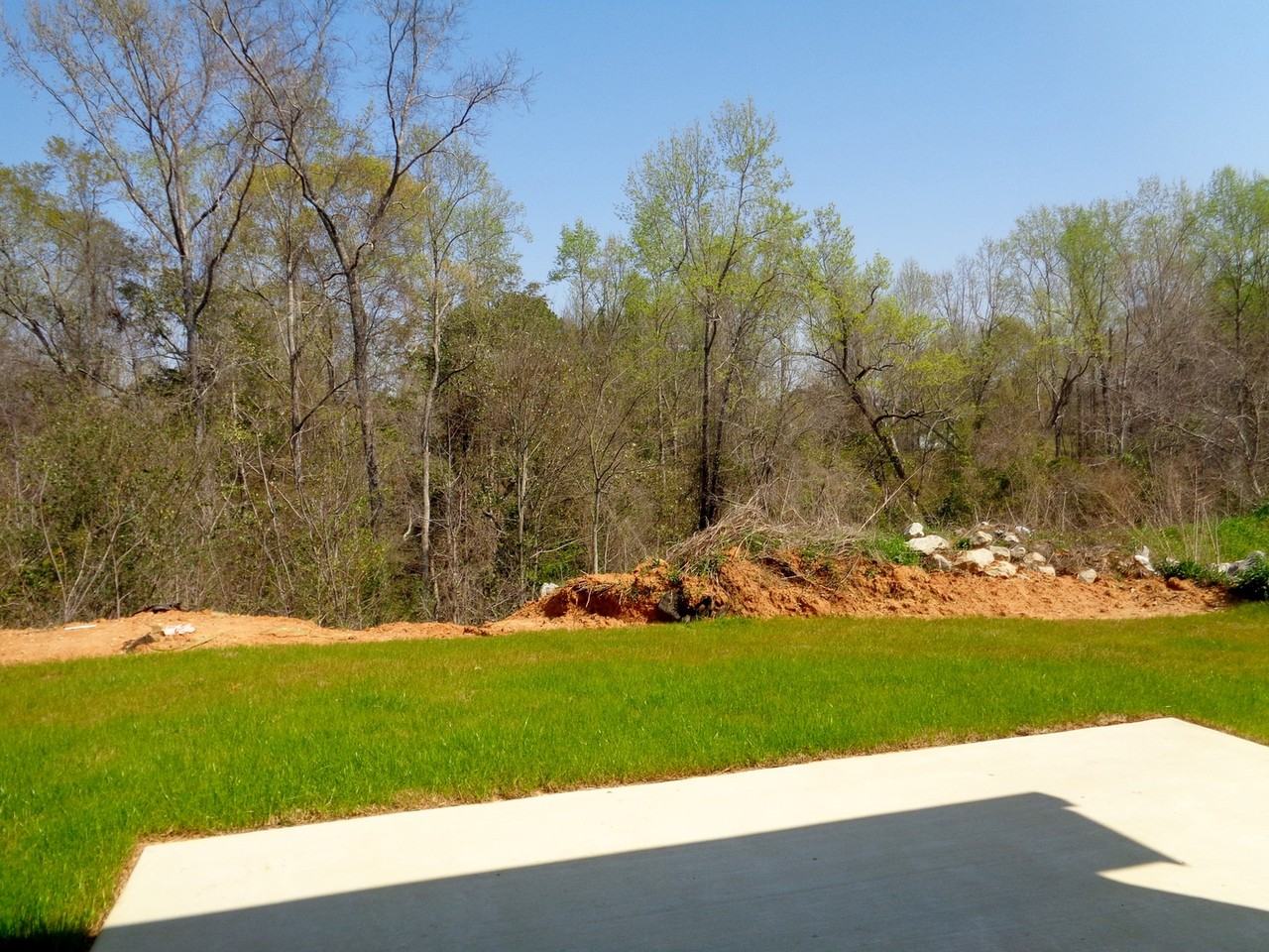 11645 Andrew Way - Photo 6 of 24