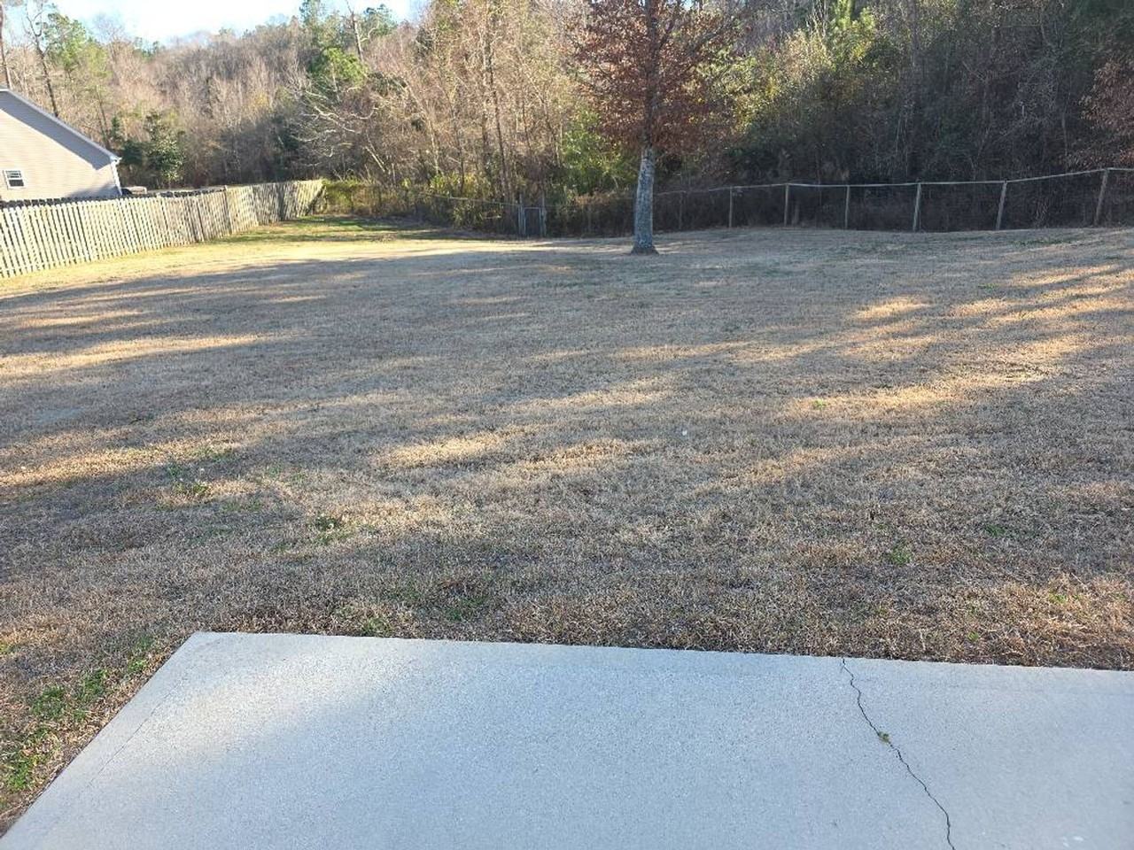 438 Mccall Dr - Photo 3 of 17