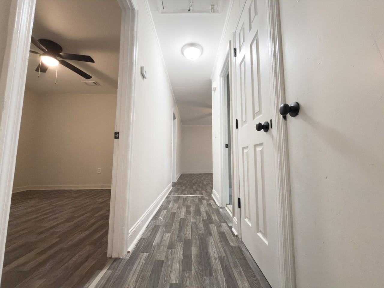 1539 N Avalon West Ashley Triplex - Photo 5 of 14