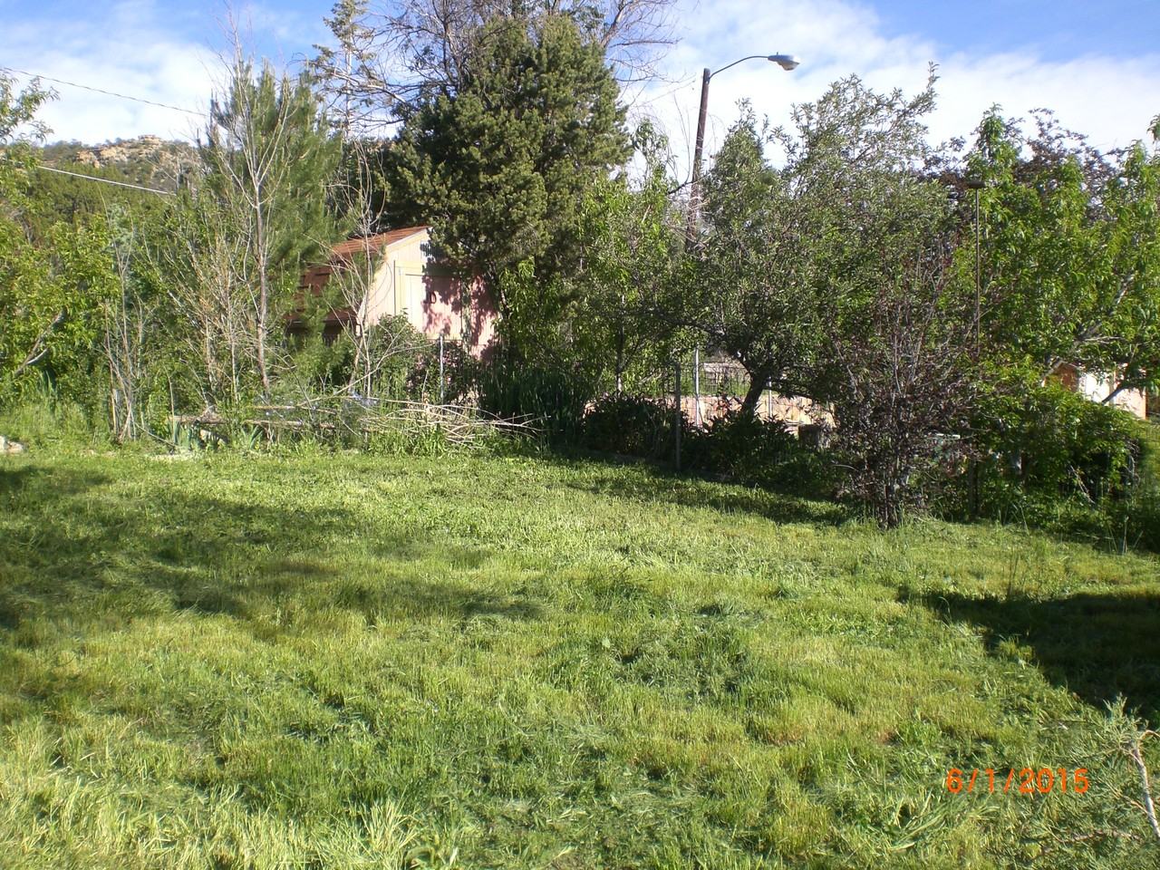 1615 Nevada Ave #1 - Photo 6 of 7