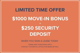 Mayfair Place Apartments - Photo 1 of 1