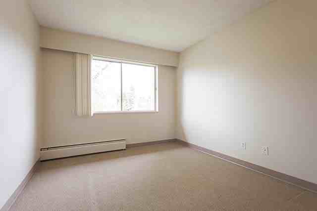 Holly Tree Apartments - Photo 5 of 30