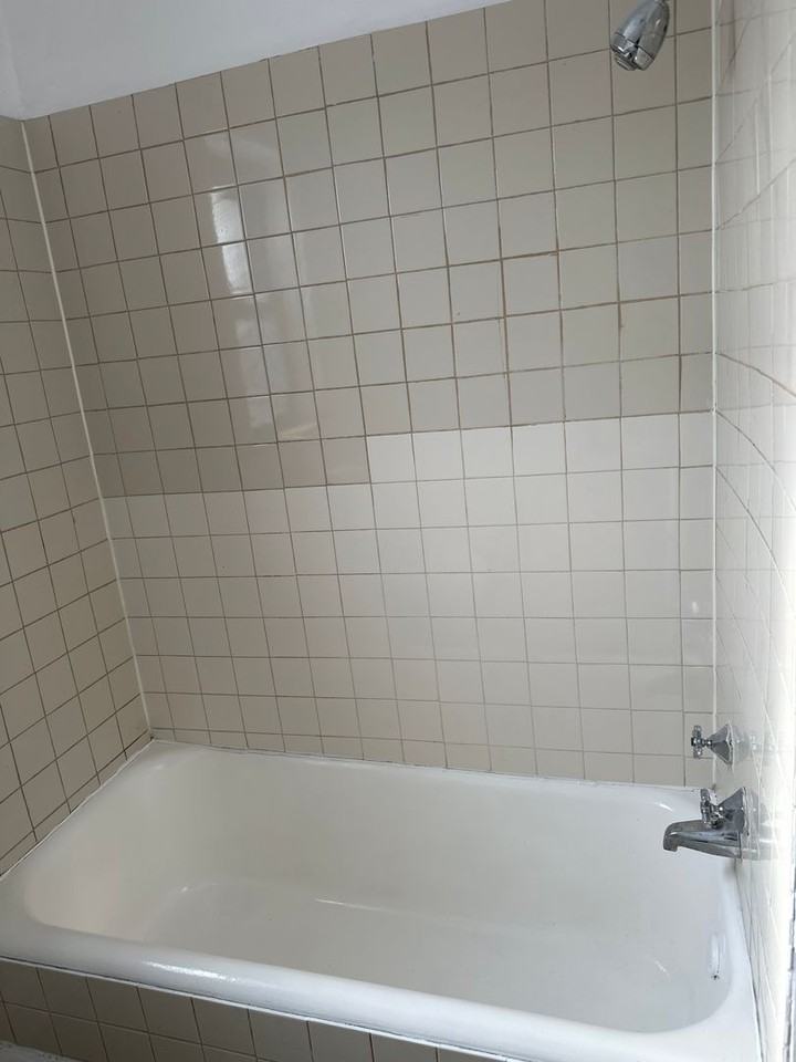 7953-59 S Saint Lawrence Ave - Photo 3 of 6