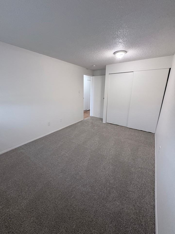 Olympic Sunset - Photo 4 of 10