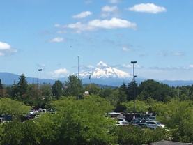 Pines on 104 LLC - Photo 1 of 1