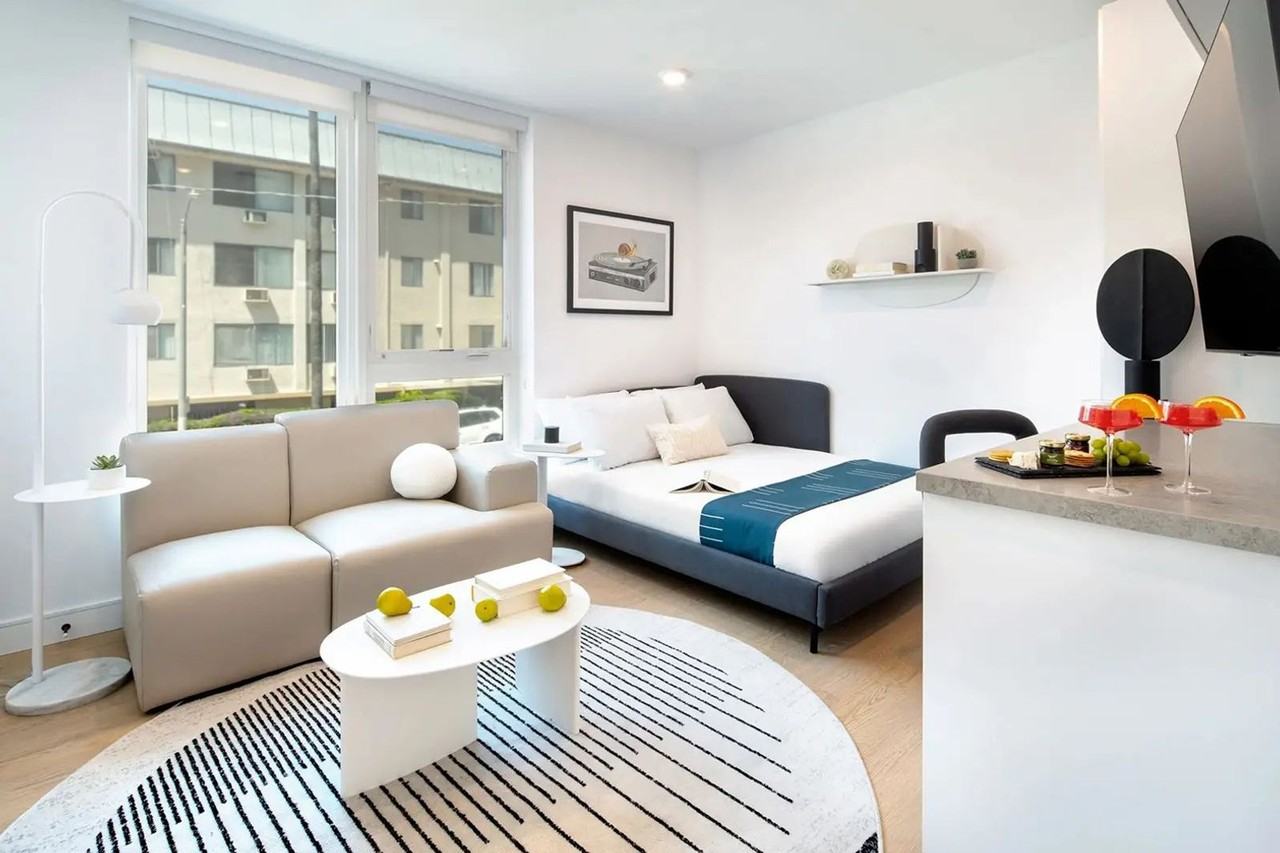 Miles at Harvard | Live Simply ||Co - Photo 7 of 13