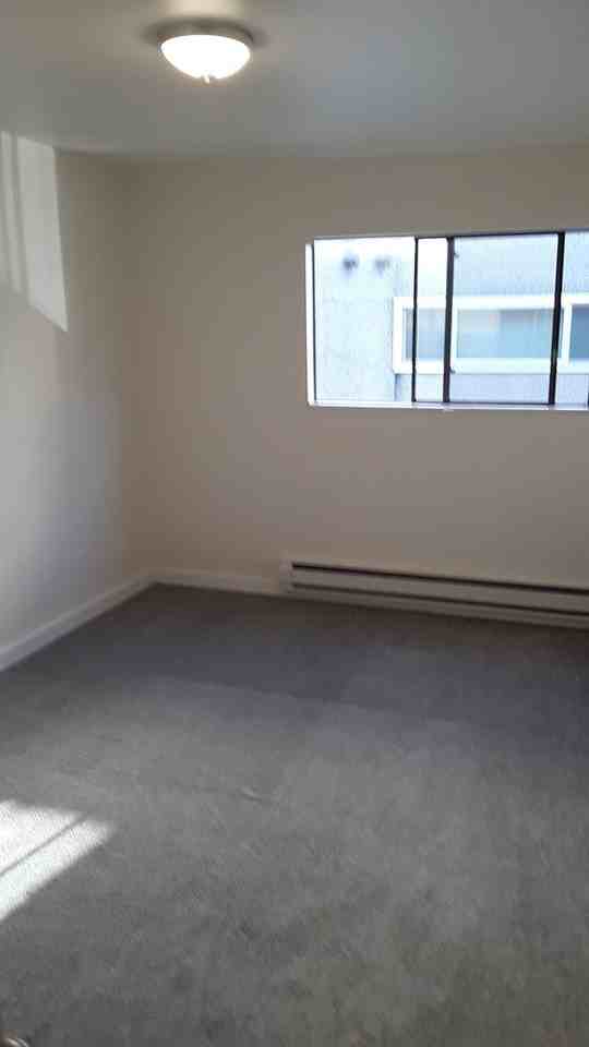 Admiral - Photo 3 of 18