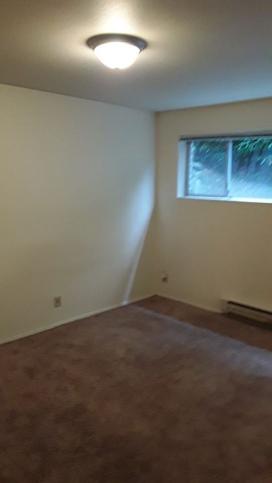 Admiral - Photo 4 of 18