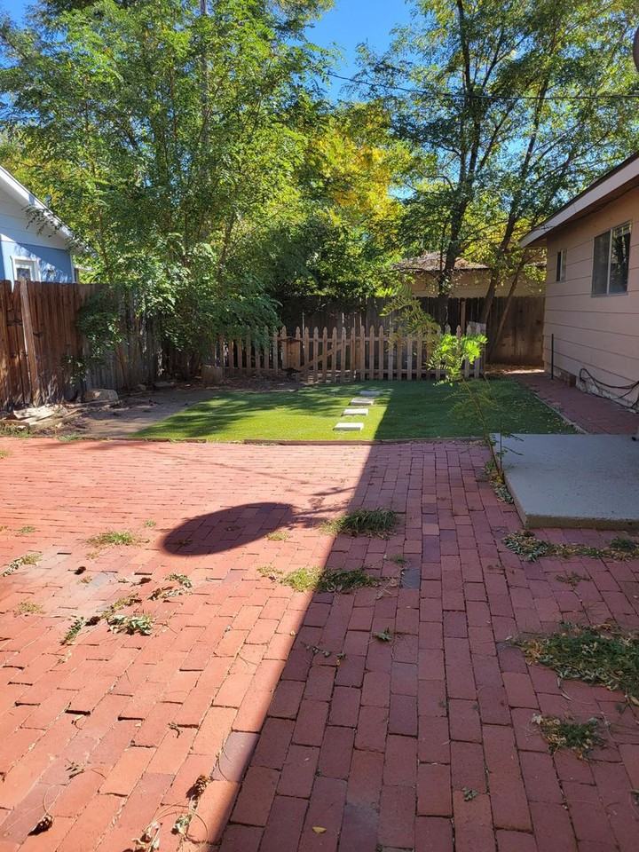 920 W Winnie Ln - Photo 7 of 18