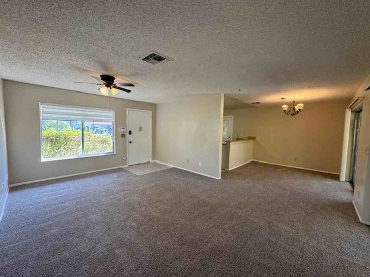 10312 Hidden Ln - Photo 4 of 24