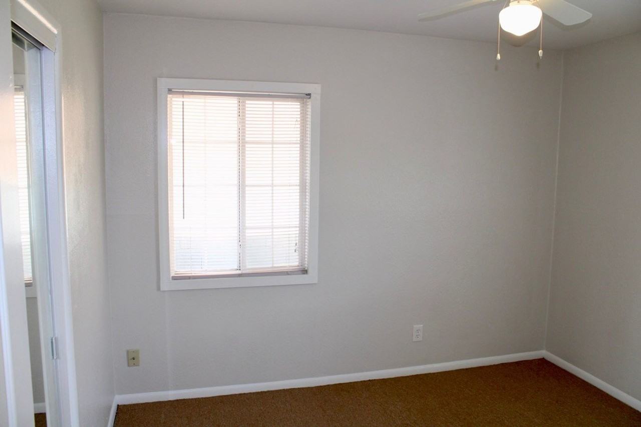 12 Griffiths St - Photo 5 of 22