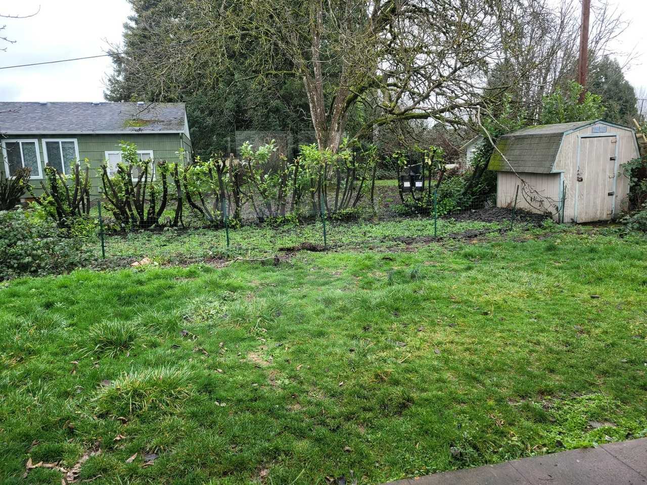 2463 Laralee St - Photo 4 of 6