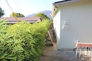 240 Daly Ave - Photo 1 of 1