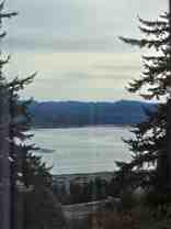 2439 Sherman - Photo 1 of 1