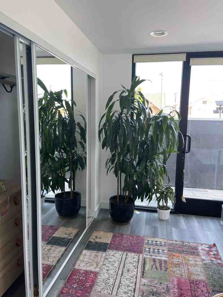 rwg - 1245 Crenshaw Blvd - Photo 6 of 10