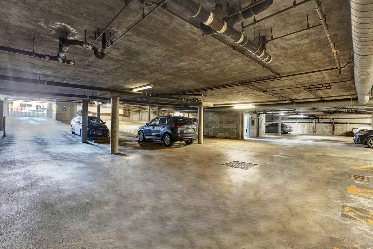 Elmwood Gardens - Photo 6 of 41