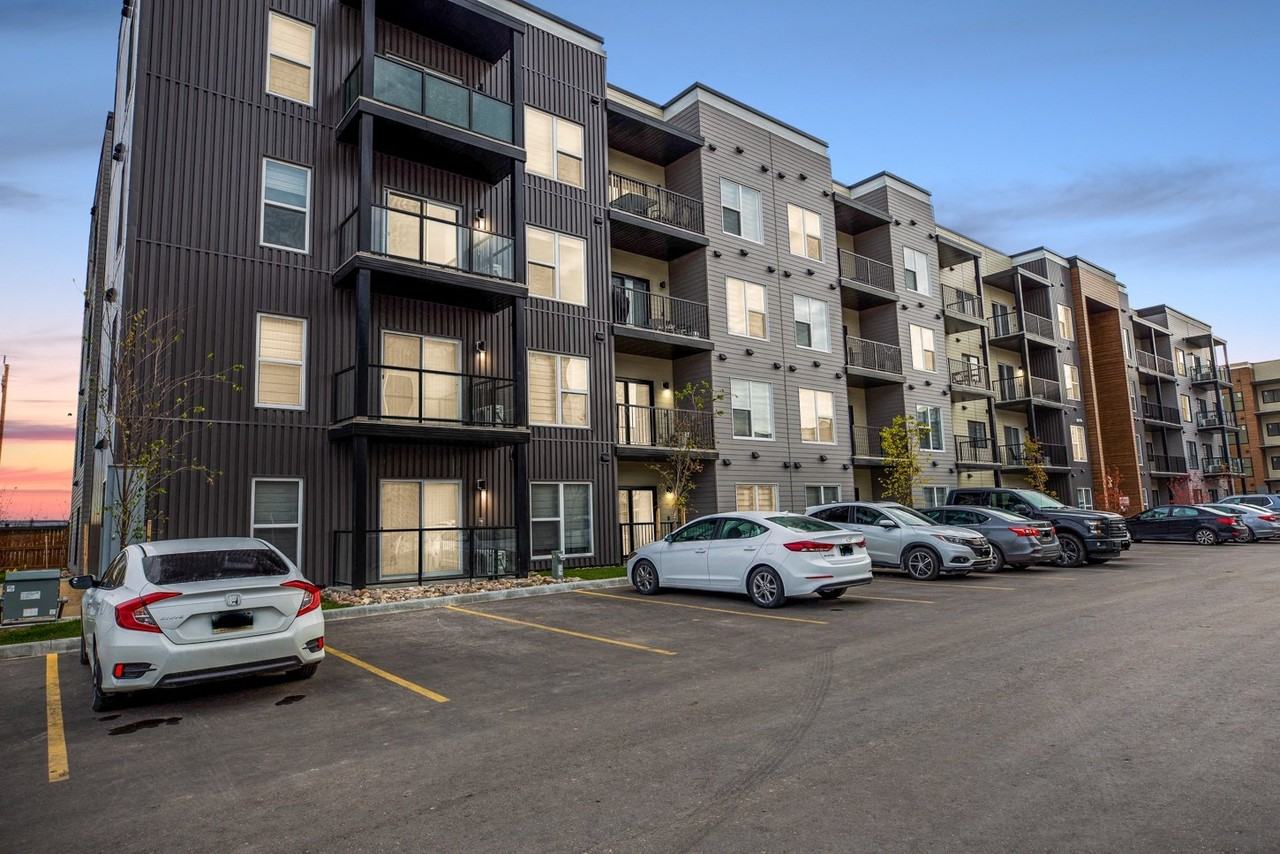 Luna at Aurora - Photo 5 of 38