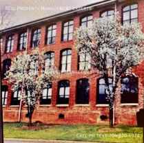 201 S Hoskins Rd #337 - Photo 1 of 1