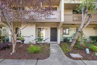3031 Flora Vis - Photo 1 of 1