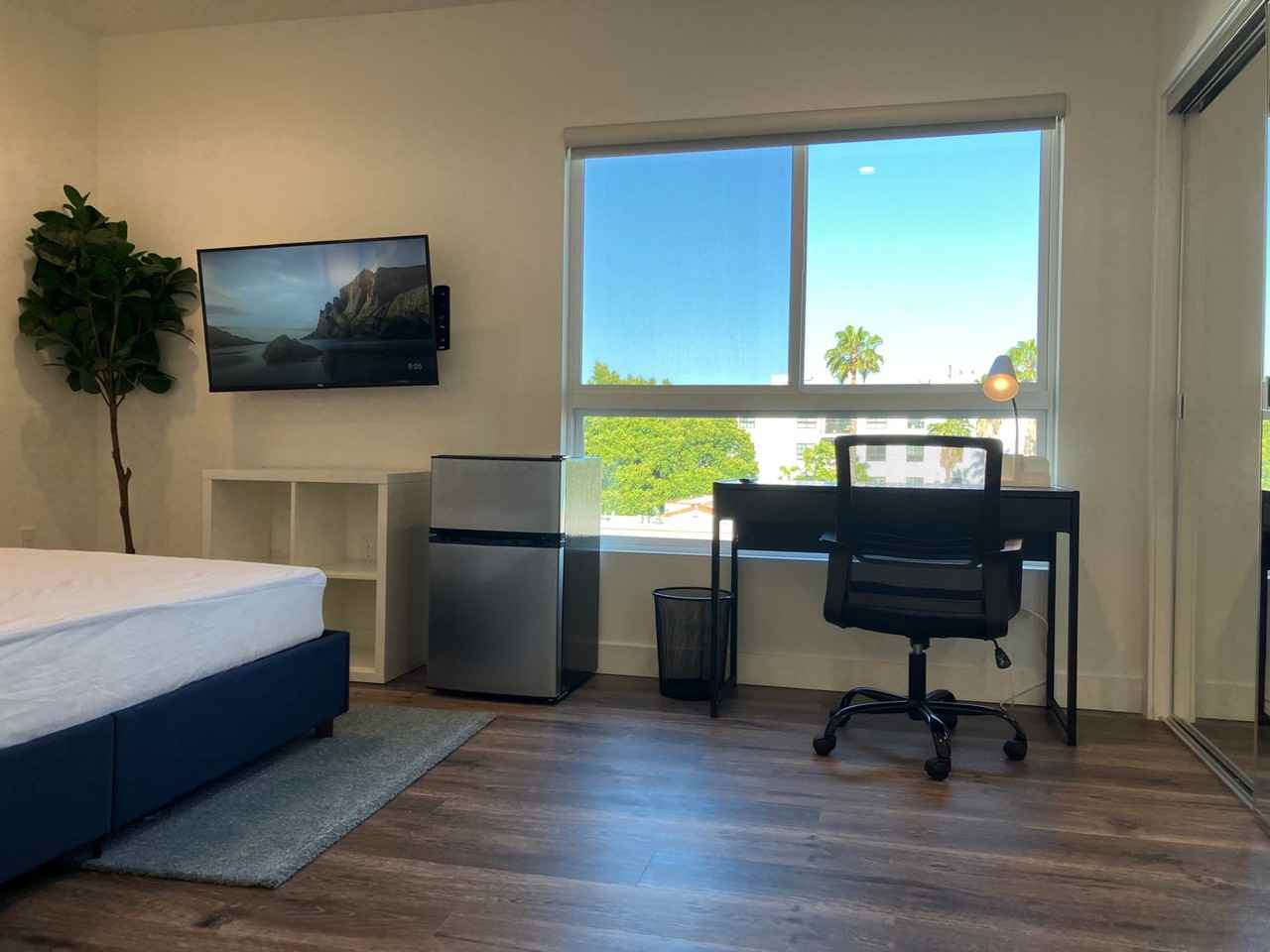 Ecco Blackburn - Photo 6 of 36