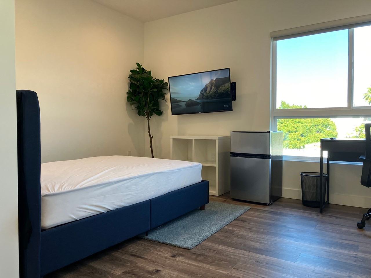 Ecco Blackburn - Photo 7 of 36