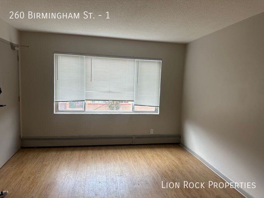 260 Birmingham St #1 - Photo 2 of 32