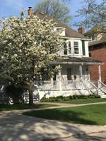 featured image of 549 Saint Clair Ave #549