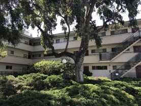 1330 Sacramento St #13 - Photo 1 of 1