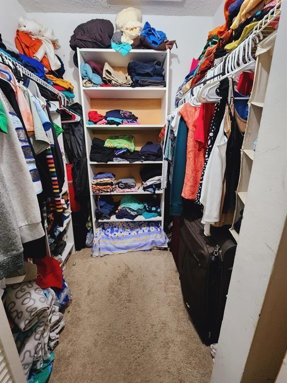 10749 Cleary Blvd #10749-202 - Photo 3 of 11